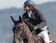 Petckov Al Pacino TosTour2013- S5 2702 : Al Pacino, Arezzo, Arezzo Equestrian Centre, Petkov Ruslan, Toscana Tour 2013, foto di Stefano Secchi ©